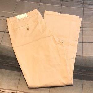 American Eagle Khakis